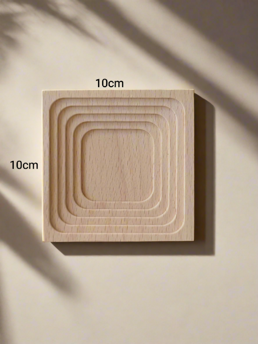 Succulent Elegant Round Dark Grey – Echevaria hybrid - SlowBloomGreens