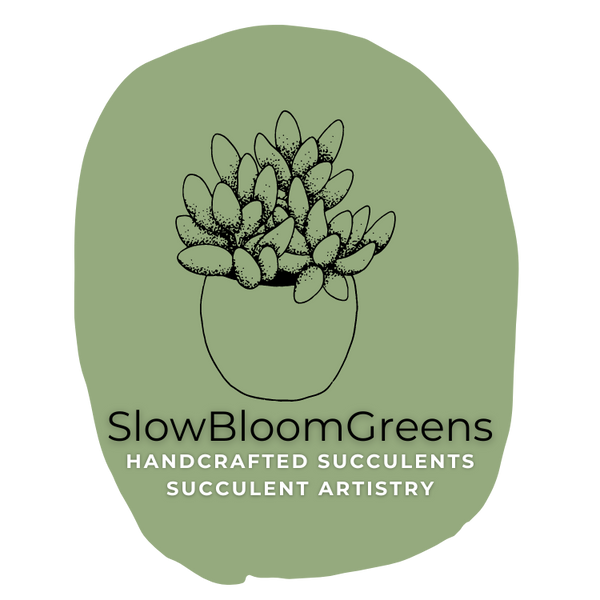 Succulent Plants for Sale at SlowBloomGreens