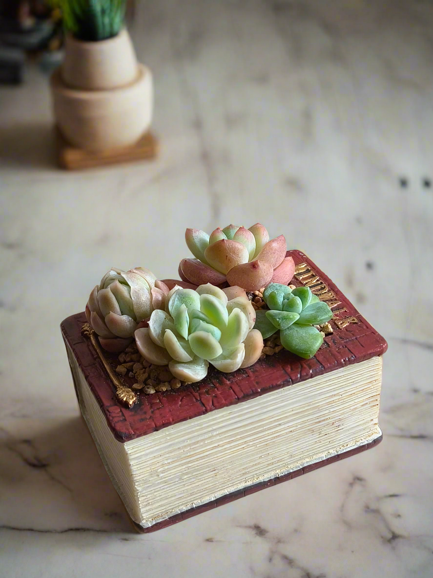Succulent Book Nook – Succulent Arrangement