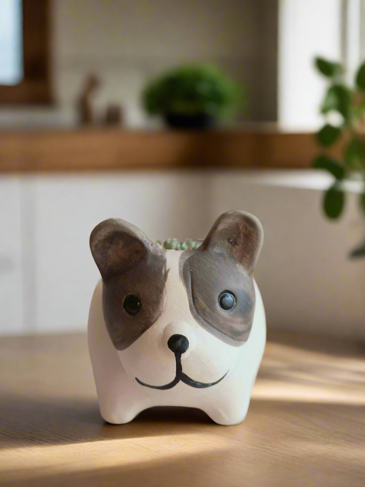 Succulent Dog Planter - mini Echeveria Blue elf - SlowBloomGreens