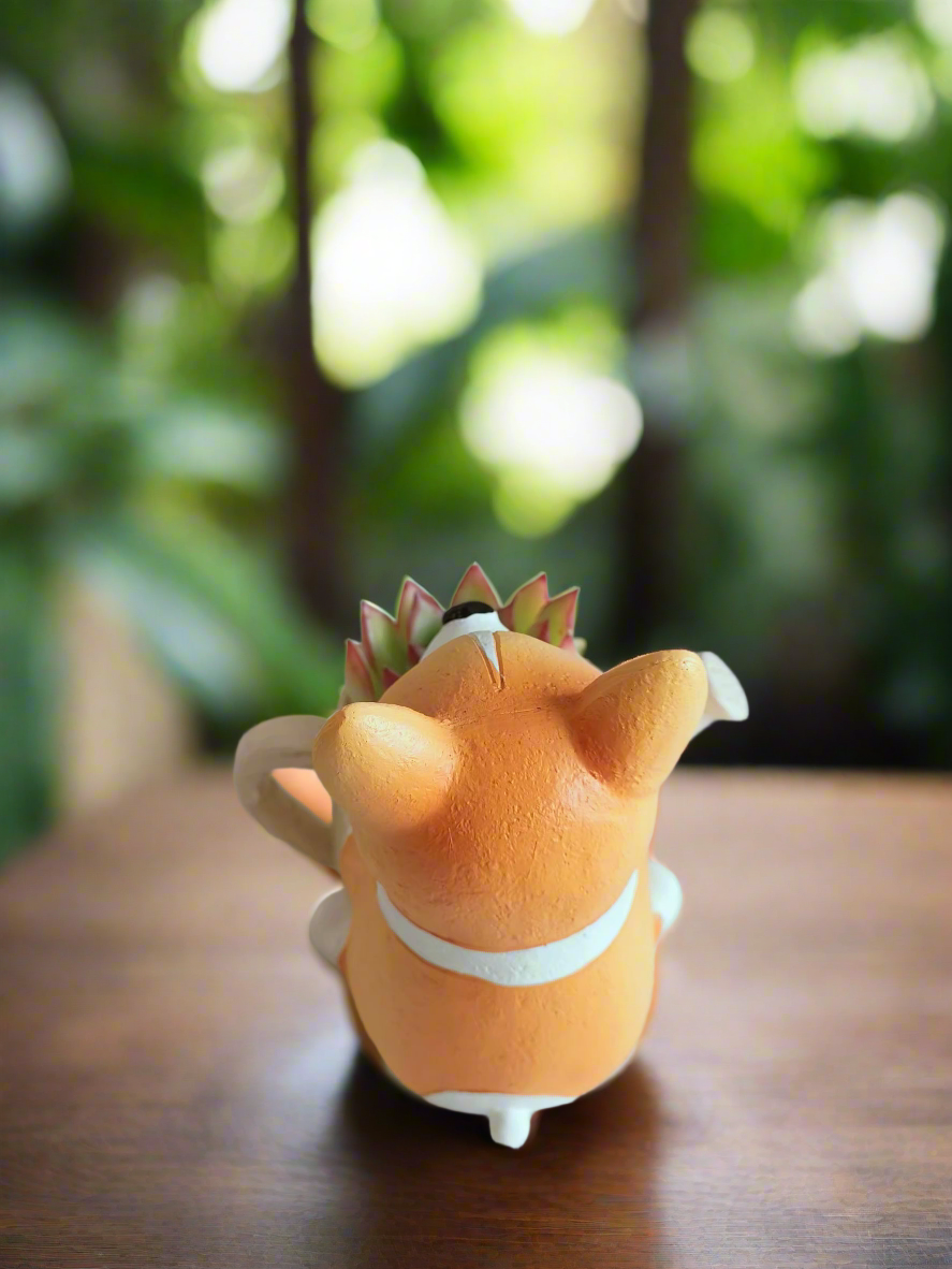 Succulent Charming Corgi - Echeveria Pulidonis - SlowBloomGreens