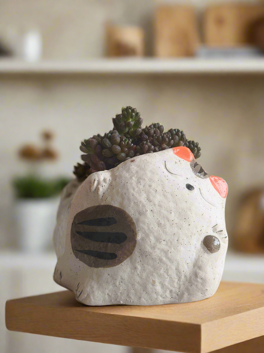 Succulent Sleeping Beauty Cat Planter - Sedum Rubrotinctum 'Redberry'