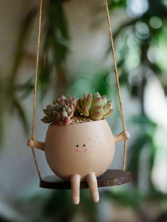 Succulent Hanging Joy Planter – Echeveria Desert Rose