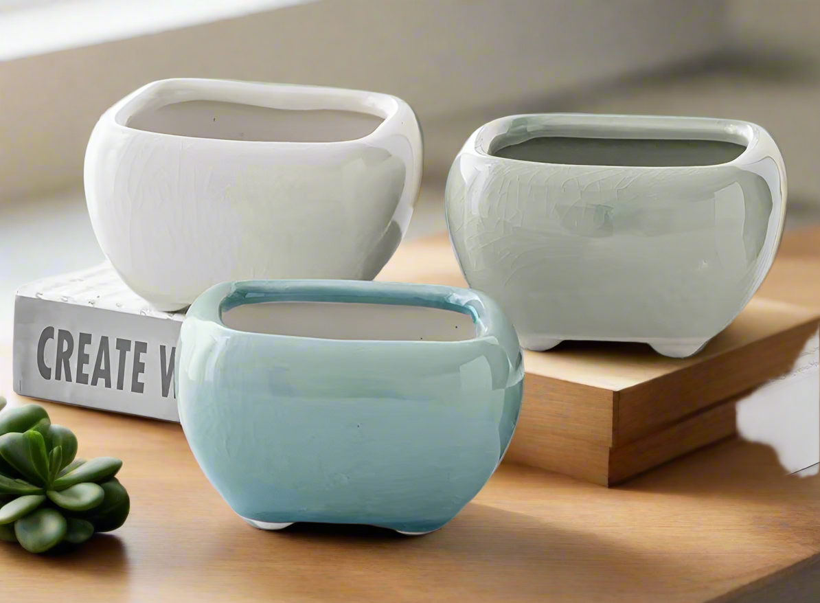 Succulent Ceramic Square Flowerpot White – Echeveria Suryeon - SlowBloomGreens