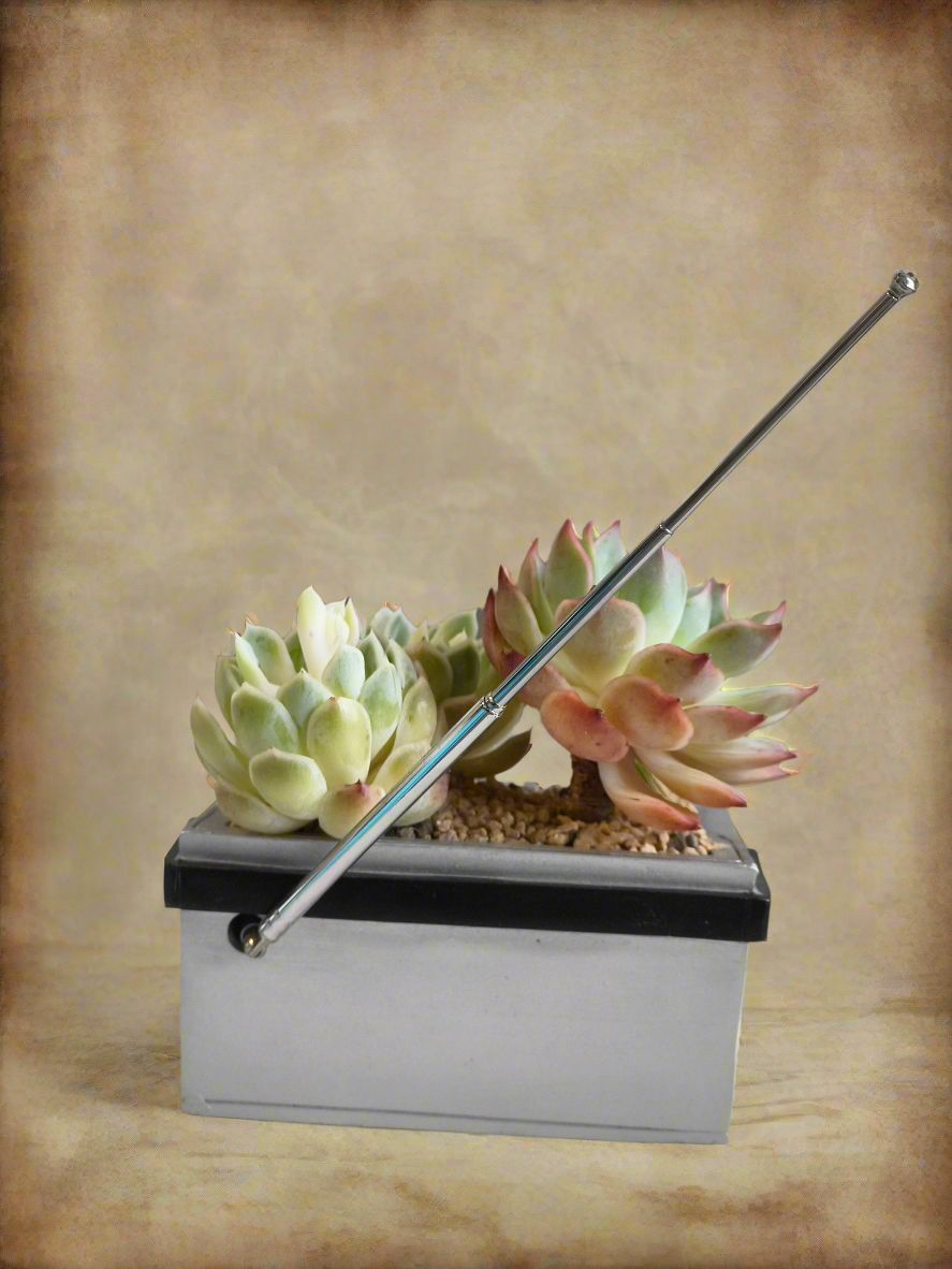Succulent Retro Boombox – Succulent Arrangement