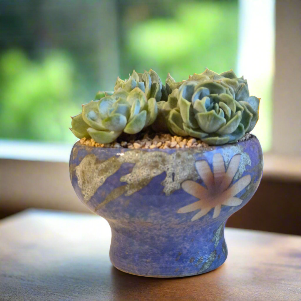 Succulent Moonlit Bloom Pot β Periwinkle Blue with Echeveria 'Blue Surprise'