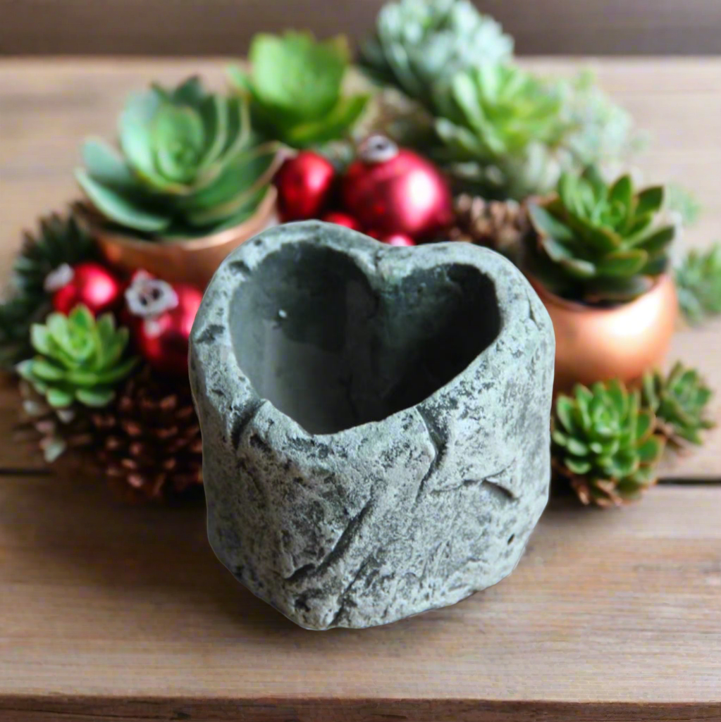 Heart-shaped planter from Succulent Simply Joy – Gift Favors (12 Pack), paired with a lush succulent for a unique, rustic look.