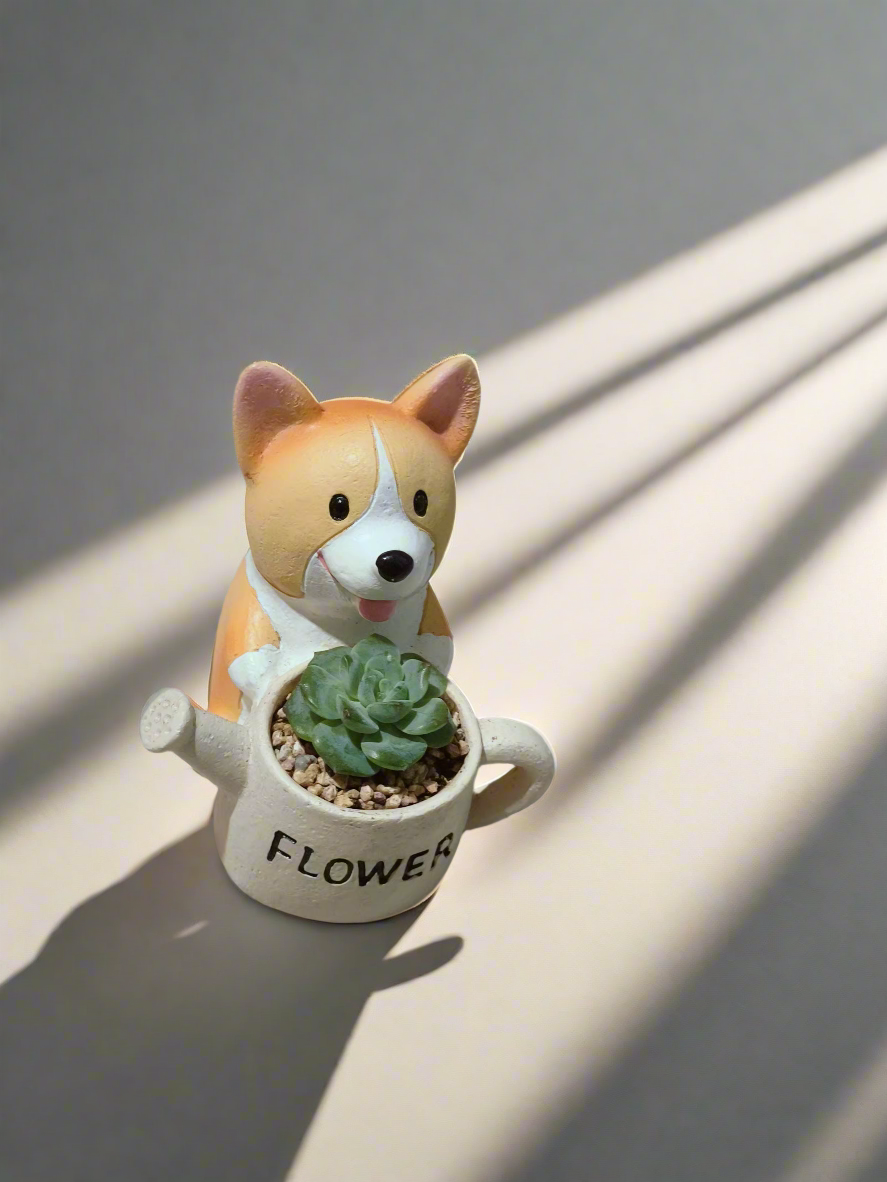 Succulent Charming Corgi - Echeveria Ice Green - SlowBloomGreens