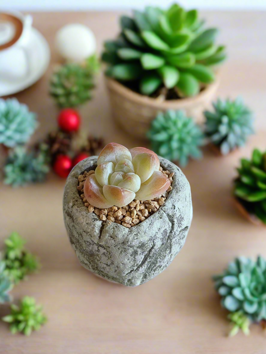 Heart-shaped planter from the Succulent Simply Joy – Gift Favors, showcasing its rustic charm and a colorful succulent centerpiece.