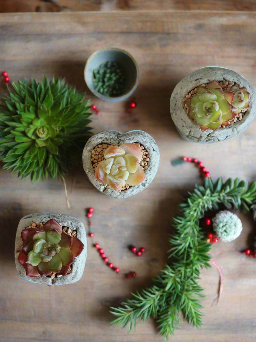 Succulent Simply Joy – Gift Favors featuring a mix of 'Joy,' 'HoHo,' and heart-shaped planters for rustic Christmas celebrations.