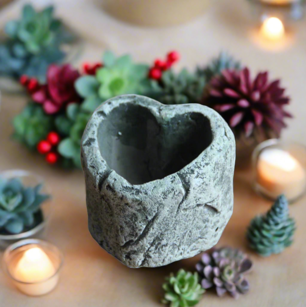 A heart-shaped planter filled with a vibrant succulent from the Succulent Simply Joy – Gift Favors (12 Pack) collection.