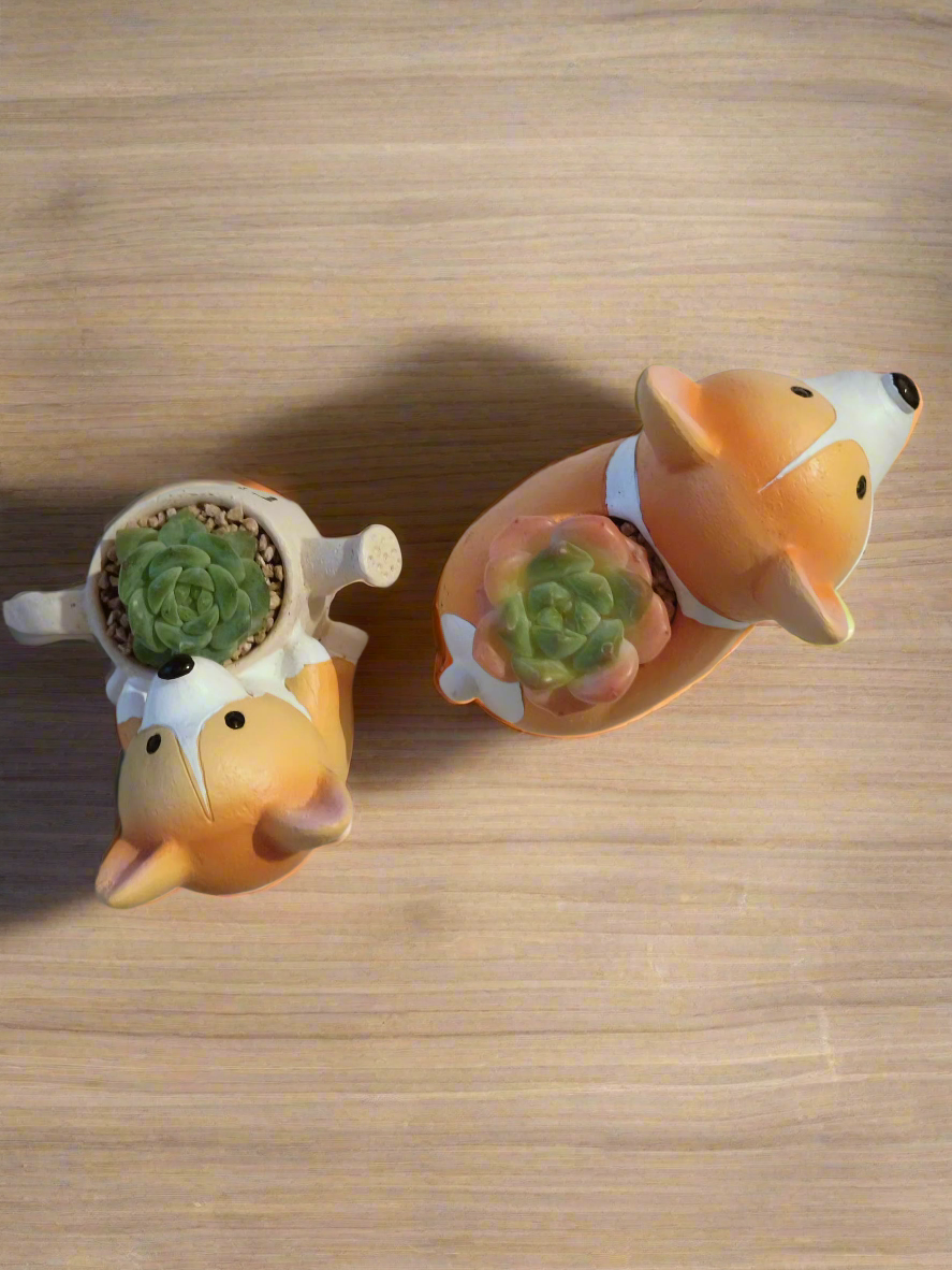 Succulent Charming Corgi Duo - Corgi Companions Gift Favors (10 pack) - SlowBloomGreens