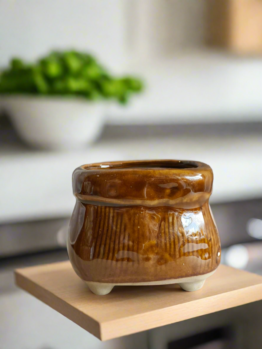 Decorative Succulent Glaze Square Pot - Gift Favors in brown