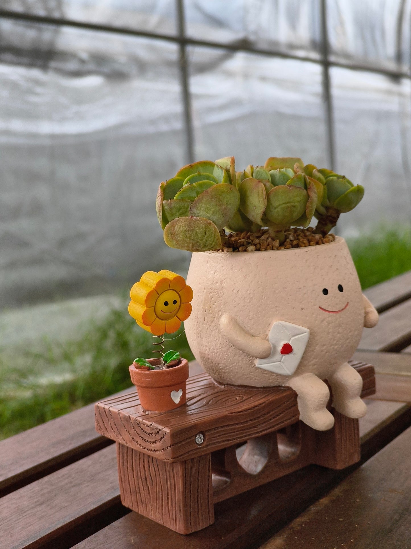 Succulent Love Note Planter π with Echeveria 'Peach Pride'