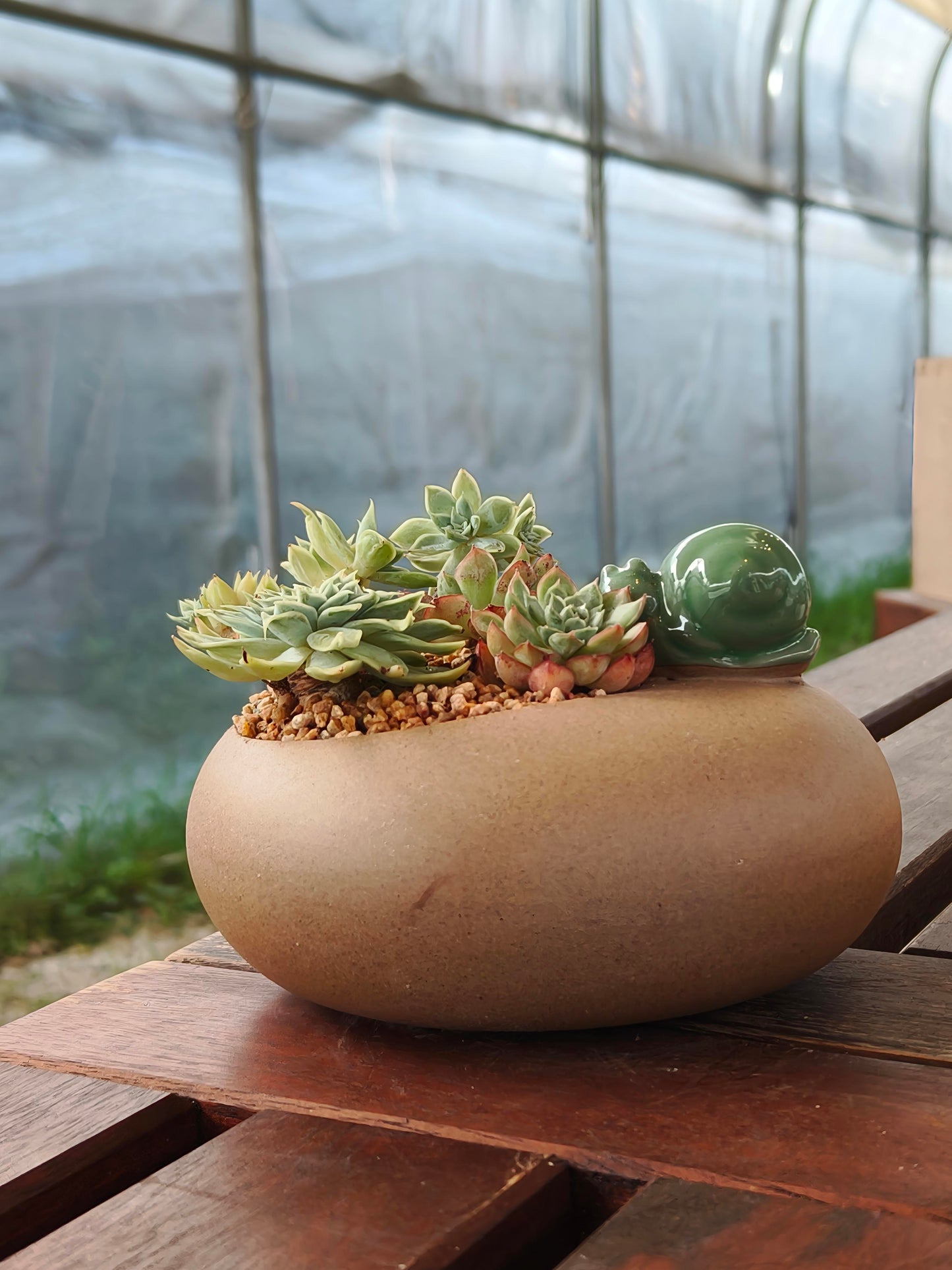 Succulent Snail Planter – Vibrant Succulents