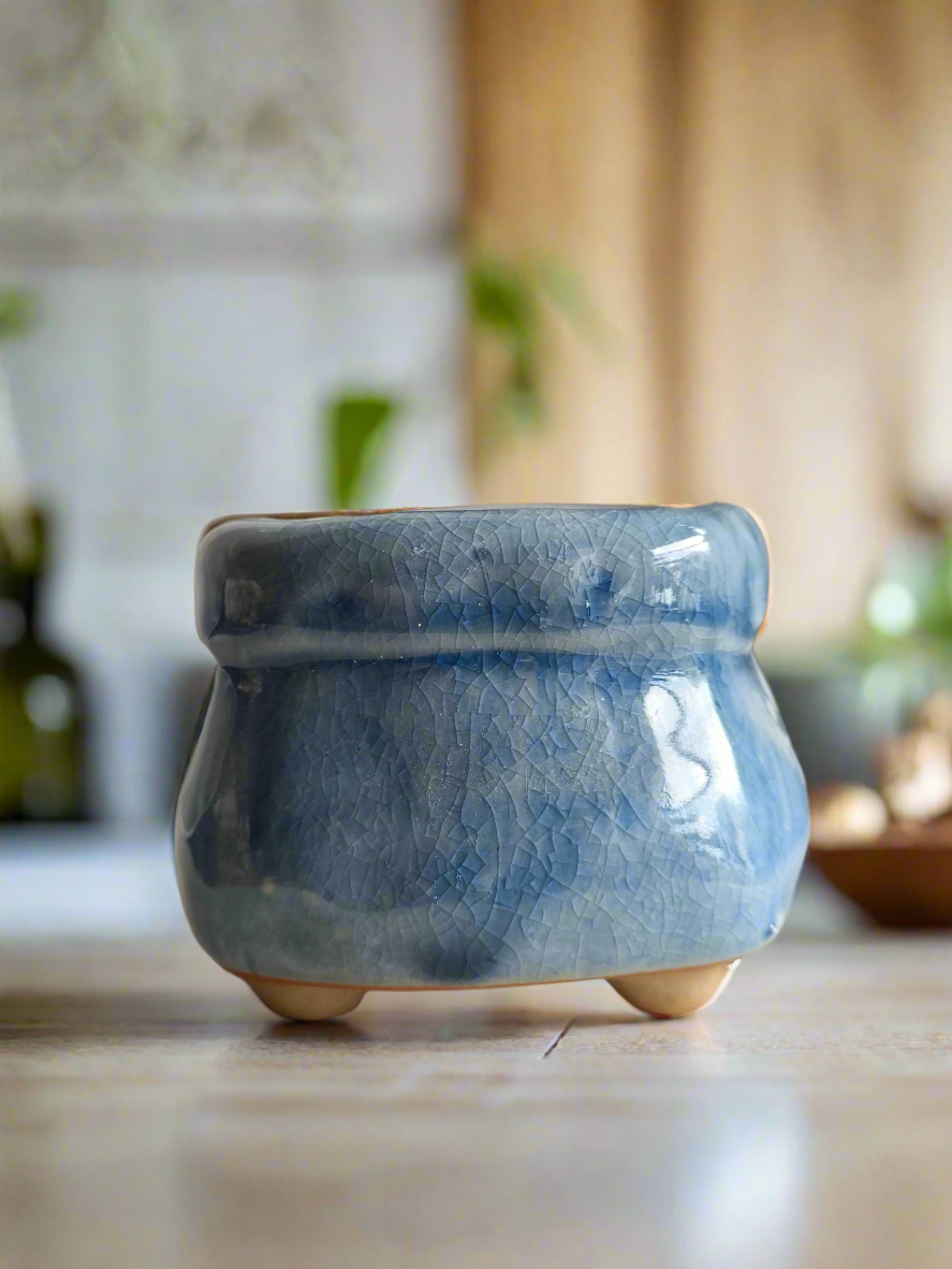 Succulent Glaze Square Pot - Gift Favors in dark blue and khaki