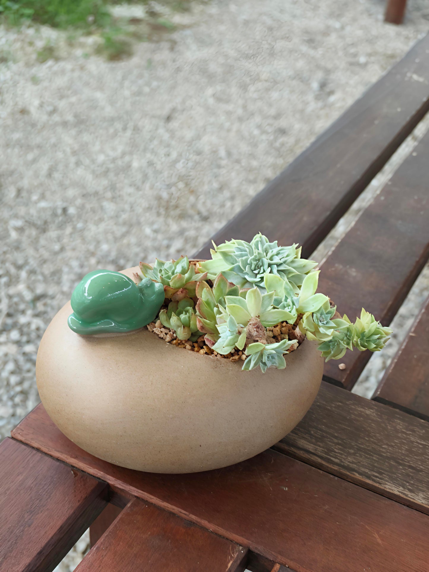Succulent Snail Planter – Vibrant Succulents