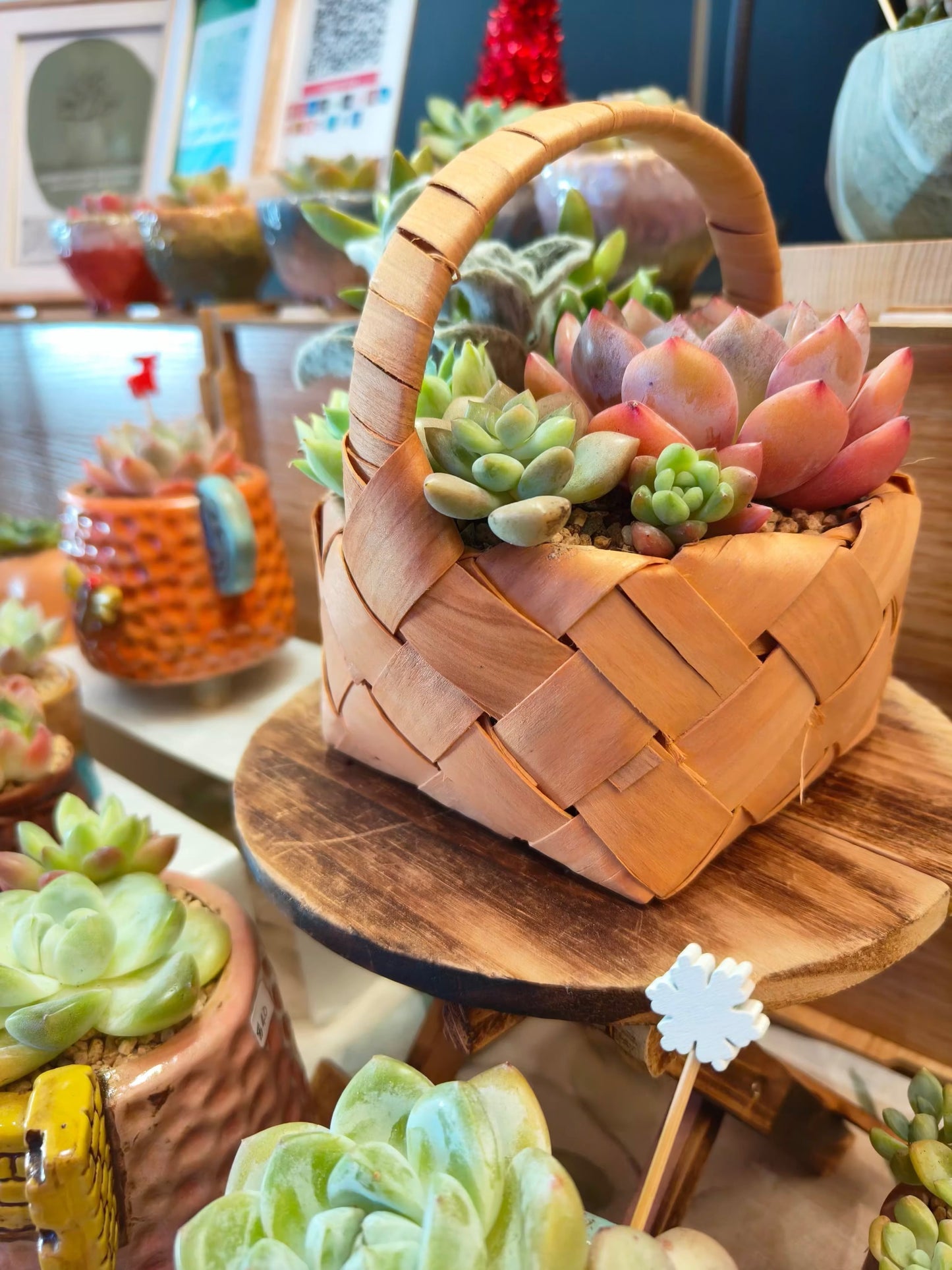 Succulent Mini Basket Bliss