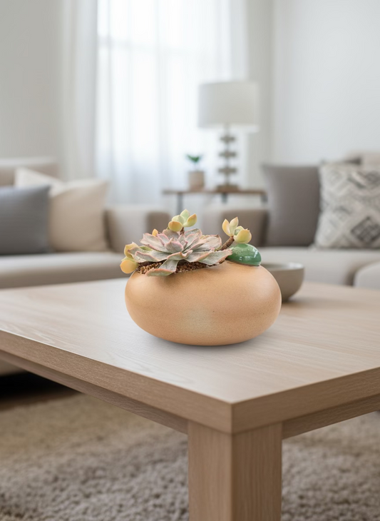 Succulent Seven-Spotted Ladybug Planter – Handcrafted Succulents