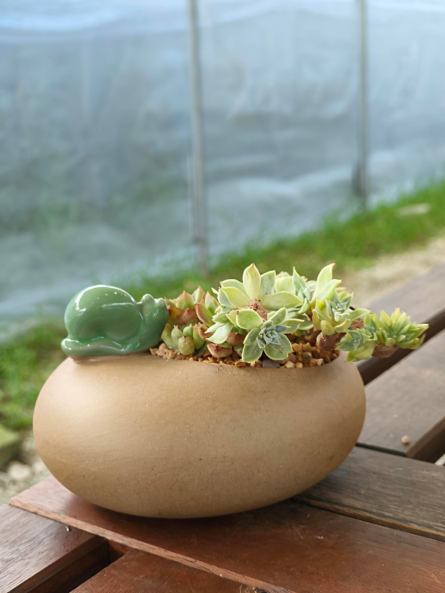 Succulent Snail Planter – Vibrant Succulents