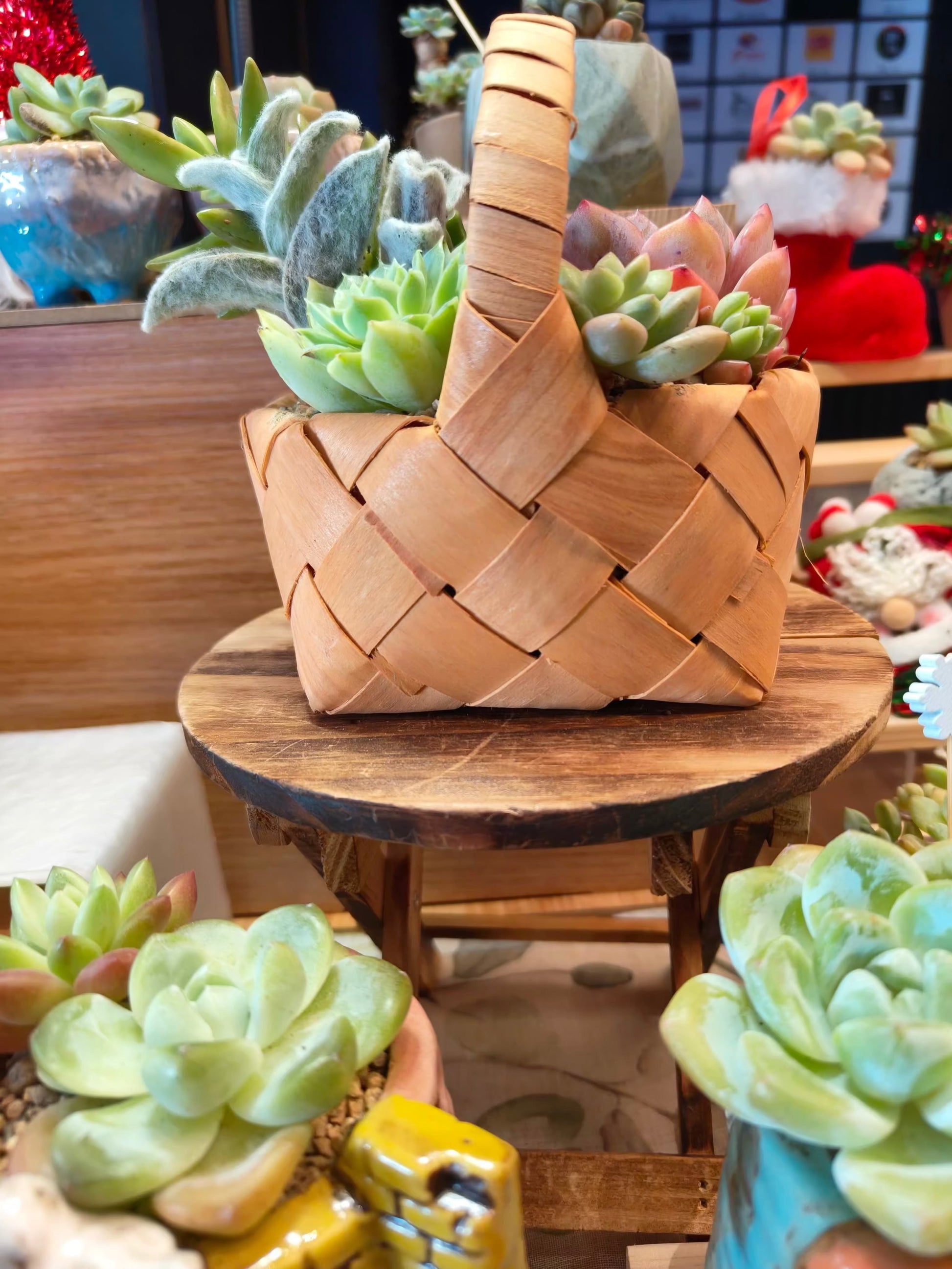 Succulent Mini Basket Bliss