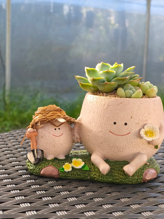 Succulent Buddies Planter - Echeveria+ 3 chubby Ice Green