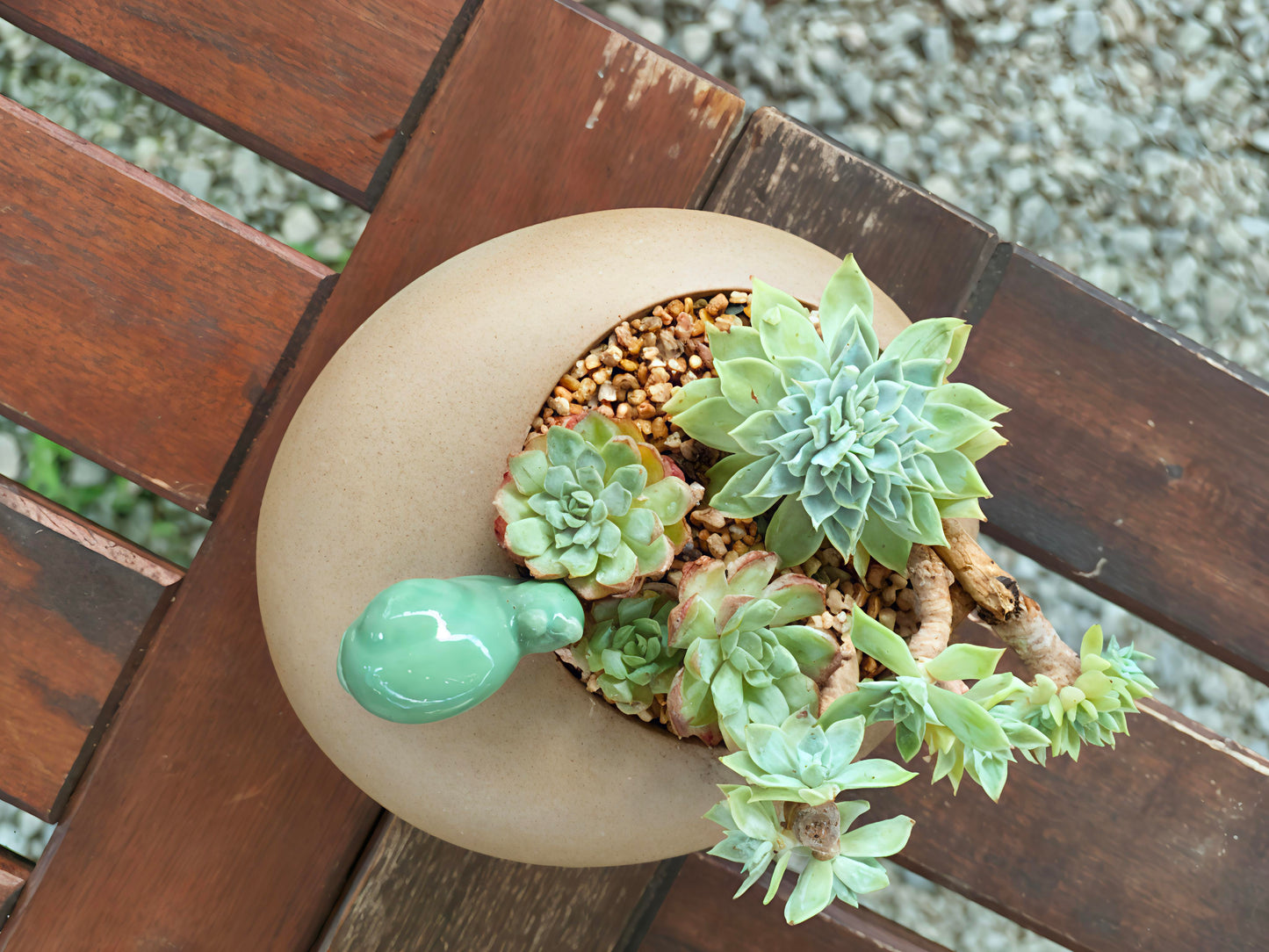 Succulent Snail Planter – Vibrant Succulents