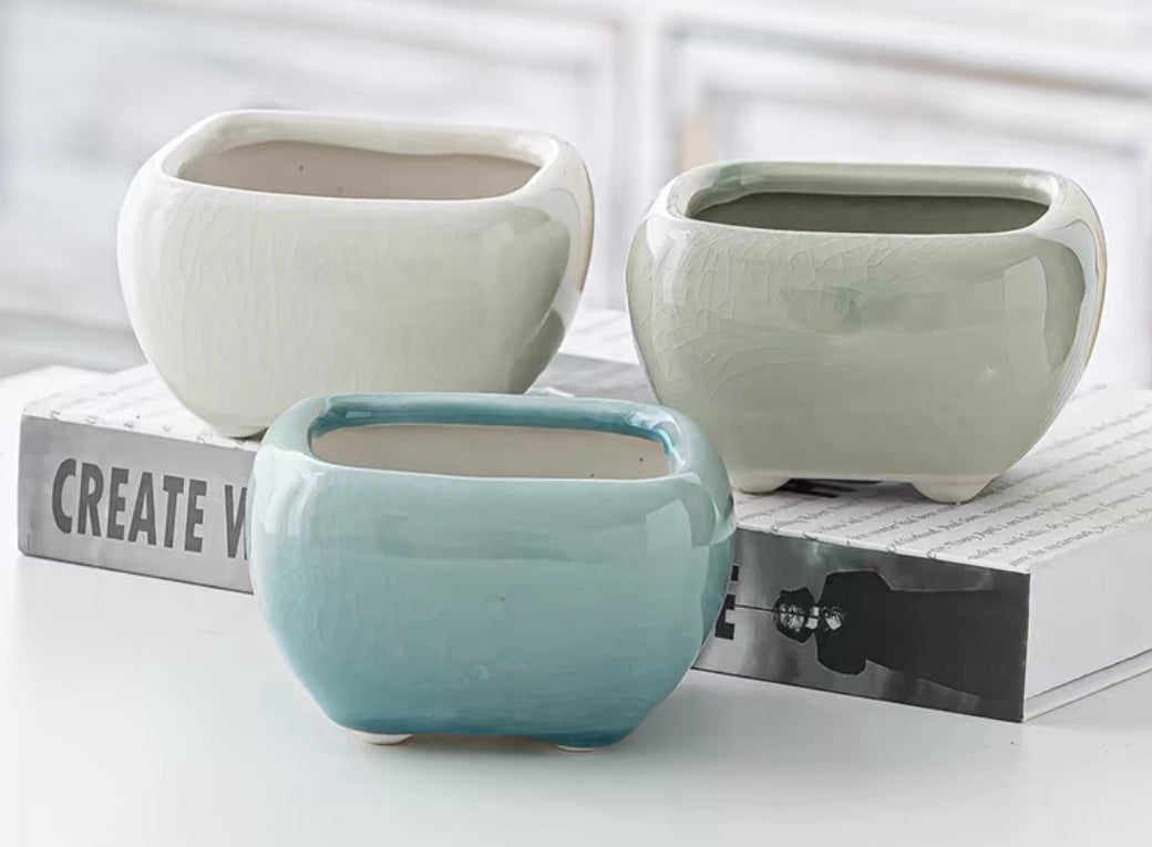 Succulent Ceramic Square Flowerpot White – Echeveria Suryeon - SlowBloomGreens