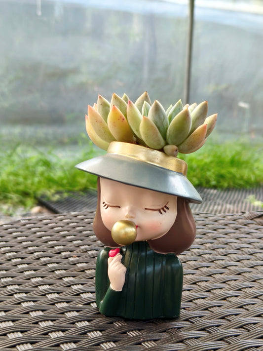 Succulent Girl Planter – Blowing Love with Pachyphytum 'Sky Beauty'