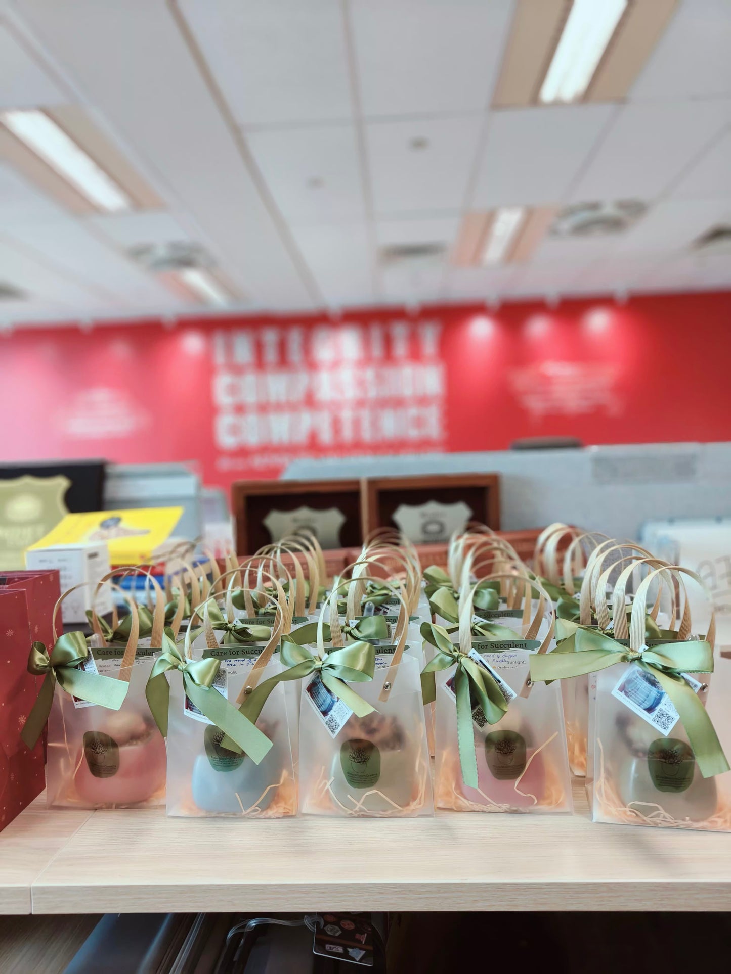 Succulent Serene Square Pots- Gift Favors (6 in a set) - SlowBloomGreens