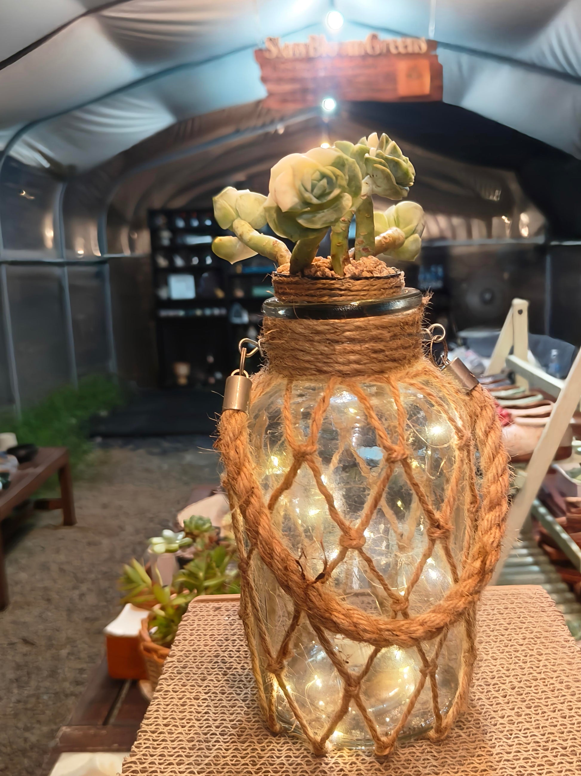 Succulent Retro Hemp Rope Vase - Graptoveria 'Lovely Rose' - SlowBloomGreens