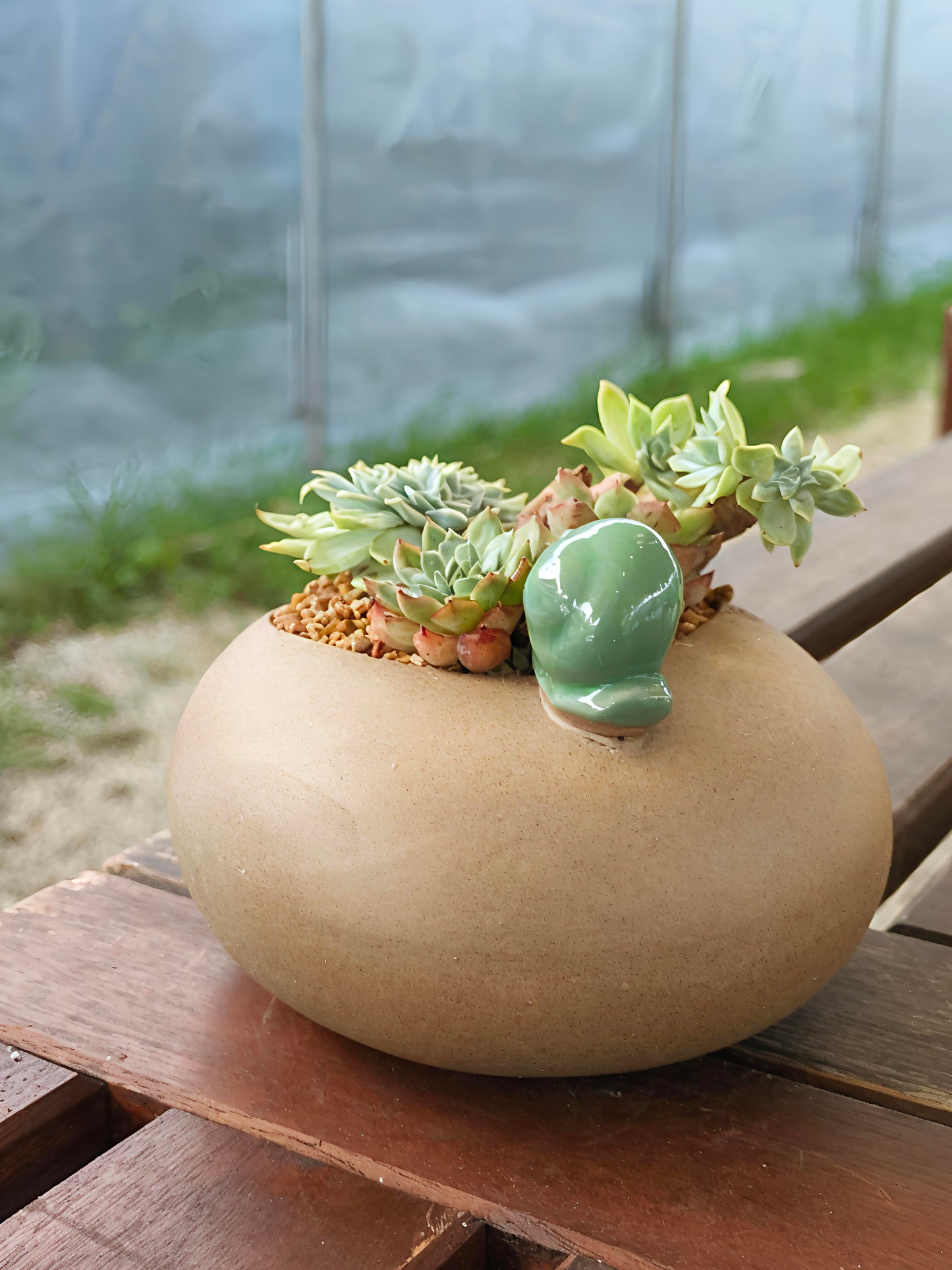 Succulent Snail Planter – Vibrant Succulents