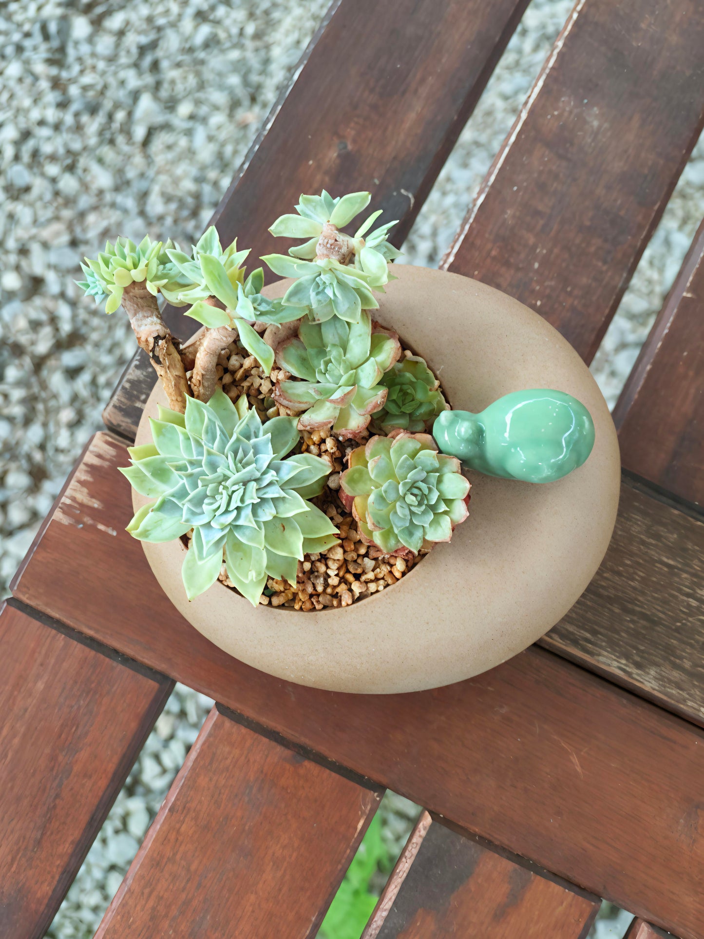 Succulent Snail Planter – Vibrant Succulents
