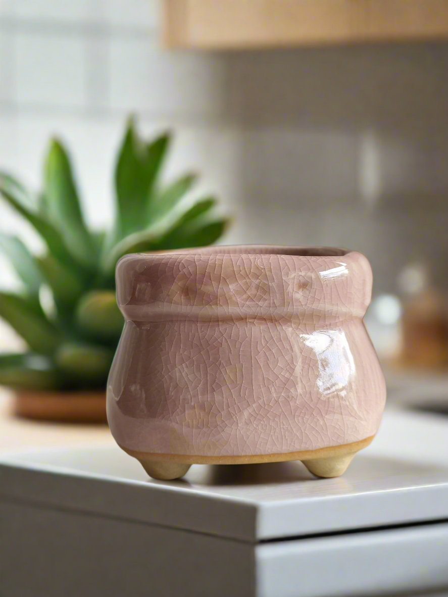 Succulent Glaze Square Pot - Gift Favors with periwinkle blue finish