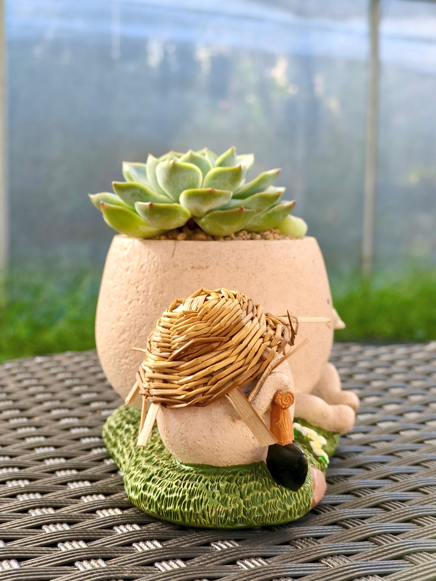 Succulent Buddies Planter - Echeveria+ 3 chubby Ice Green