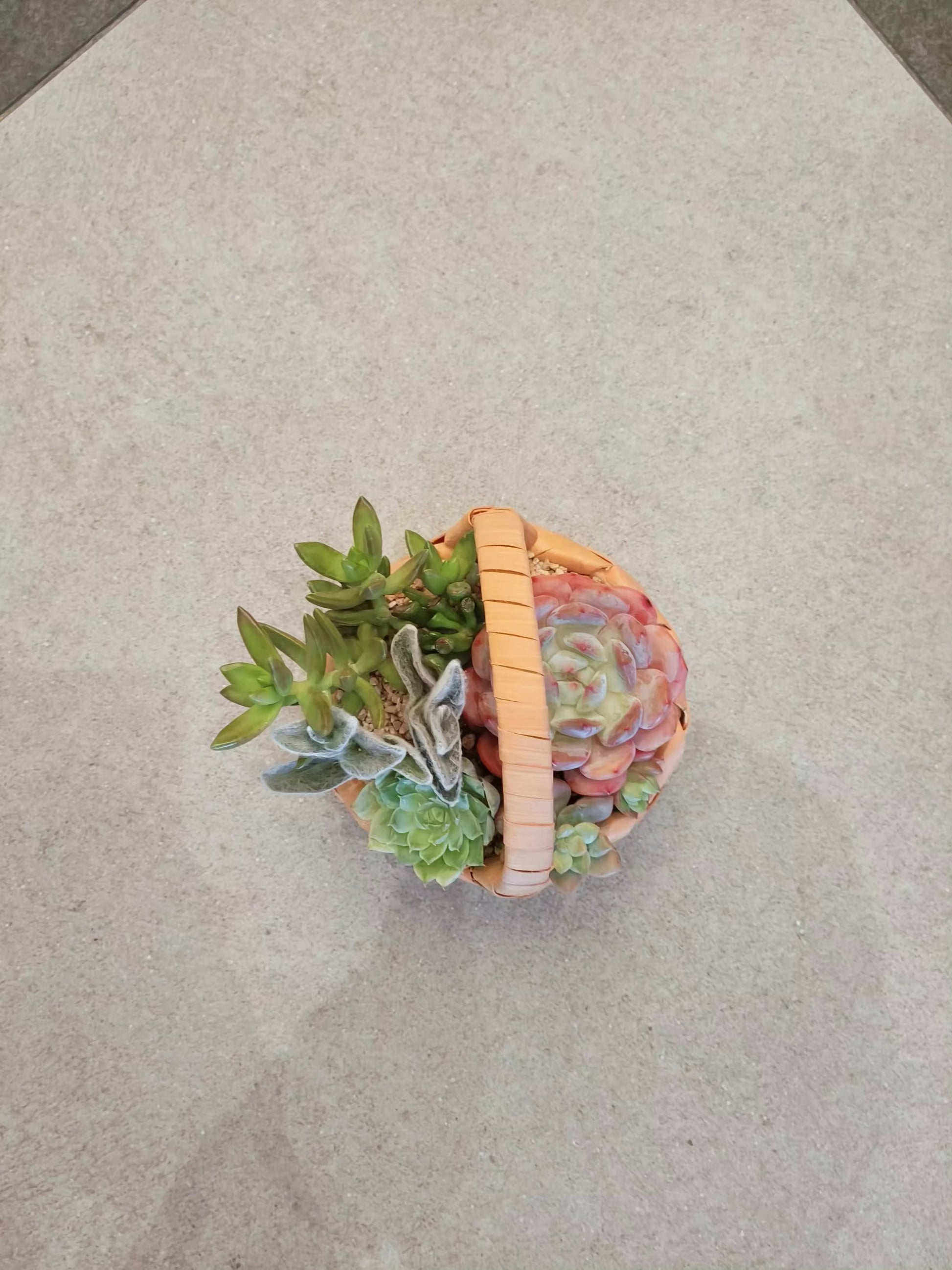 Succulent Mini Basket Bliss
