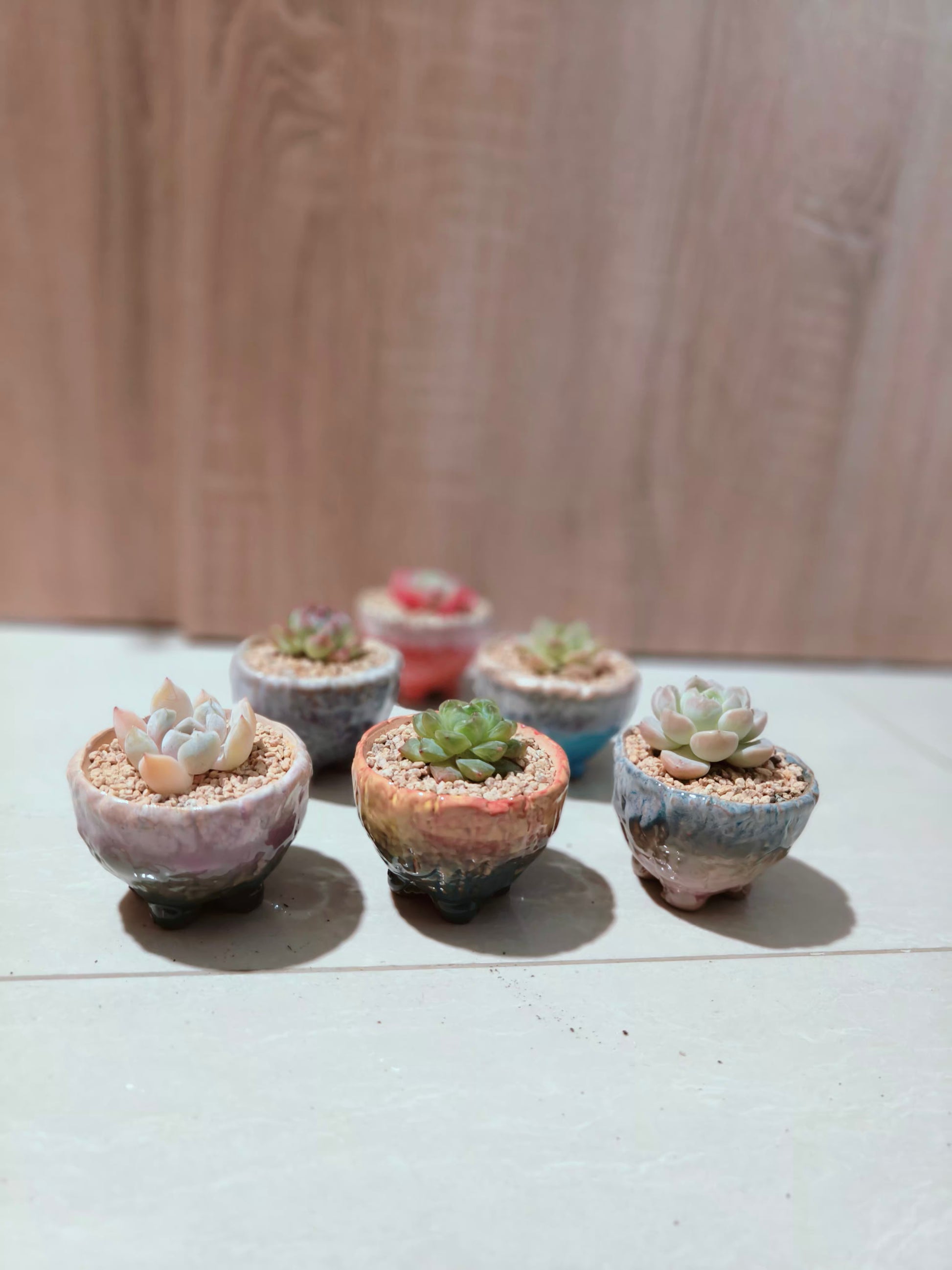 (Copy) (Copy) (Copy) (Copy) (Copy) (Copy) Succulent Lilac Ombre Rustic Planter – Egg Mountain Rose - SlowBloomGreens