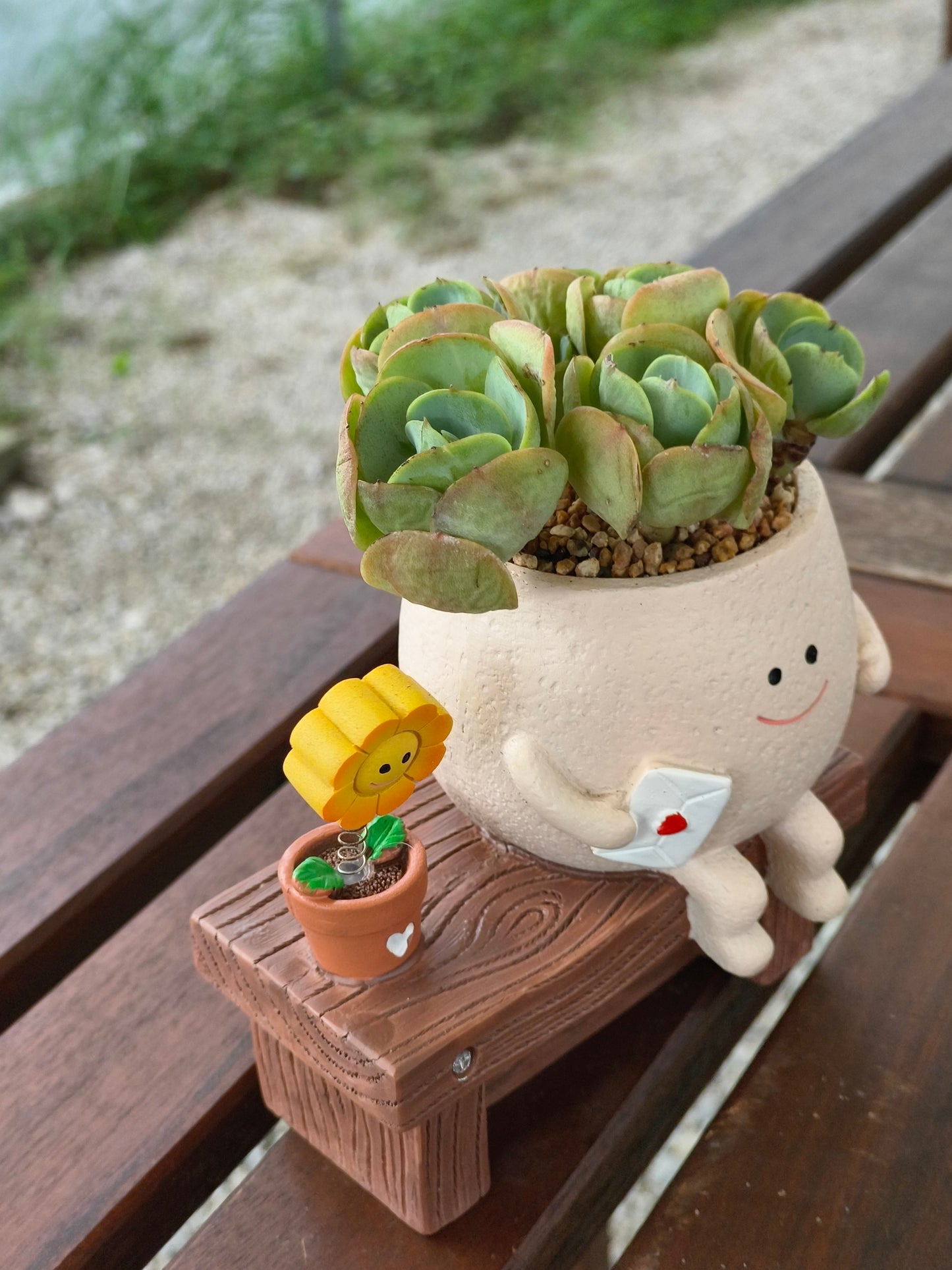 Succulent Love Note Planter π with Echeveria 'Peach Pride'