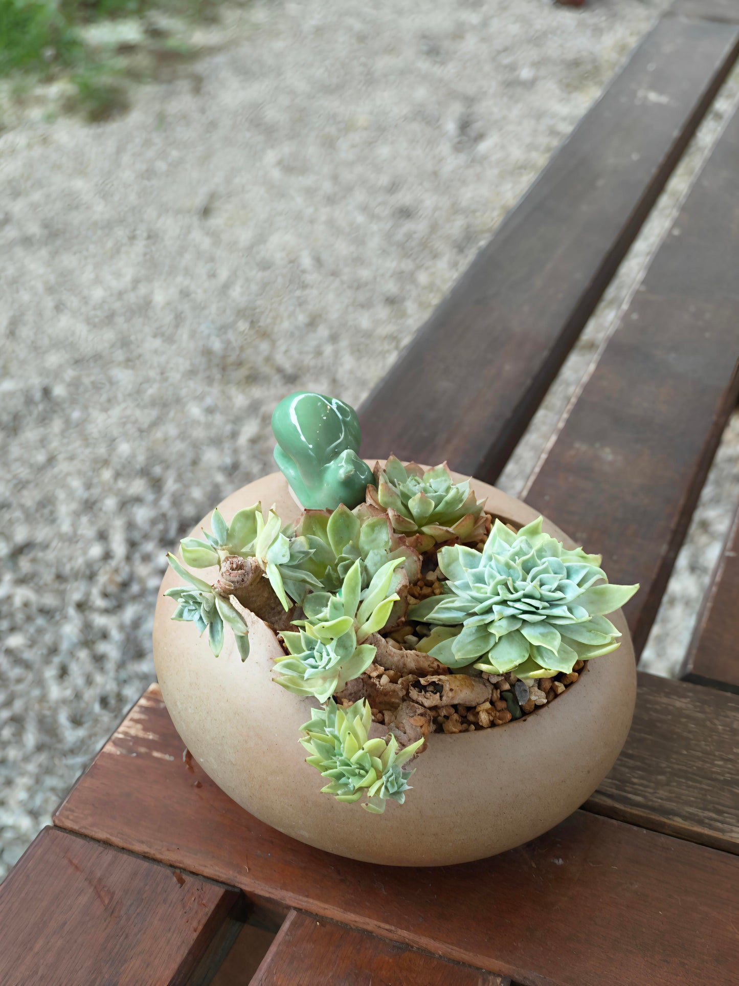 Succulent Snail Planter – Vibrant Succulents