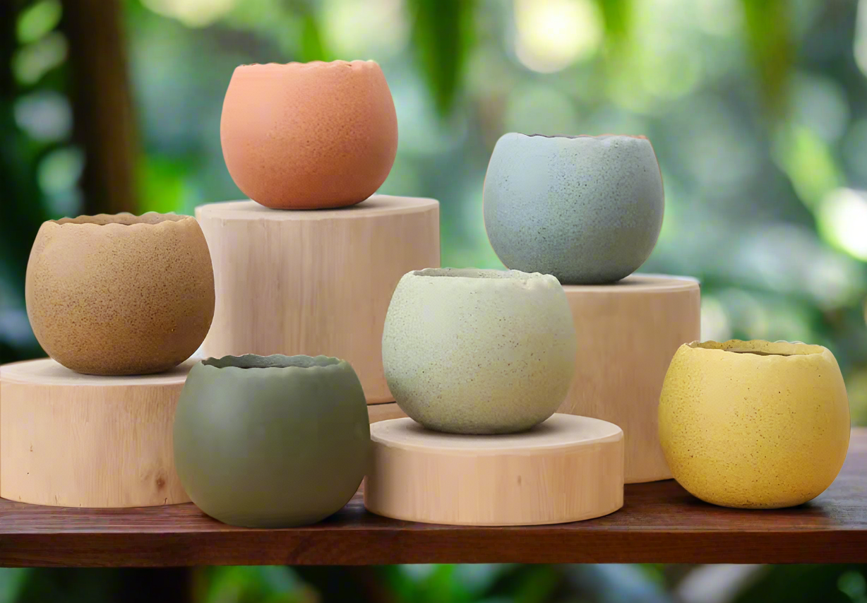 Succulent Egg Planter - Gift Favors (12 pack) - SlowBloomGreens