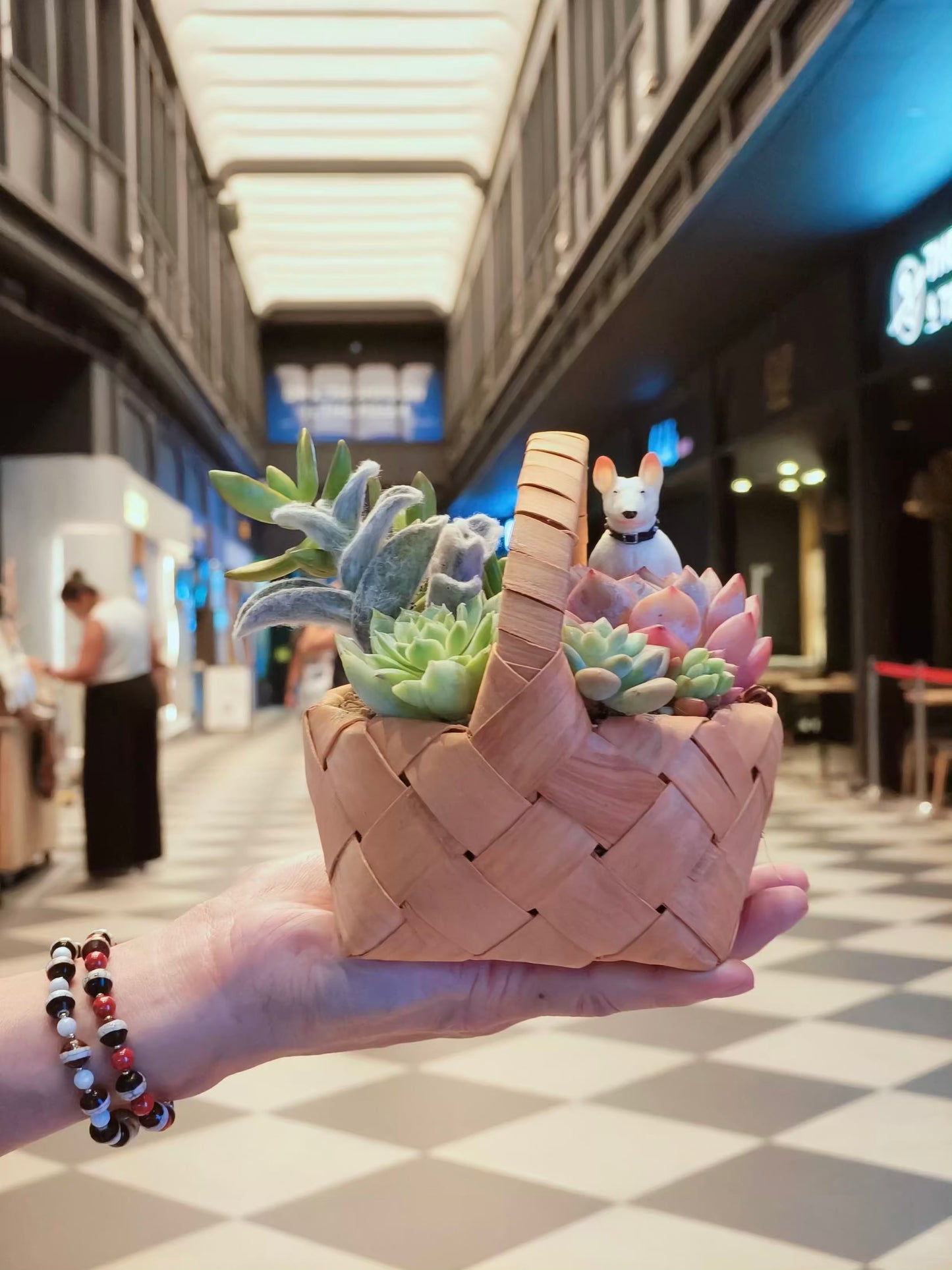 Succulent Mini Basket Bliss