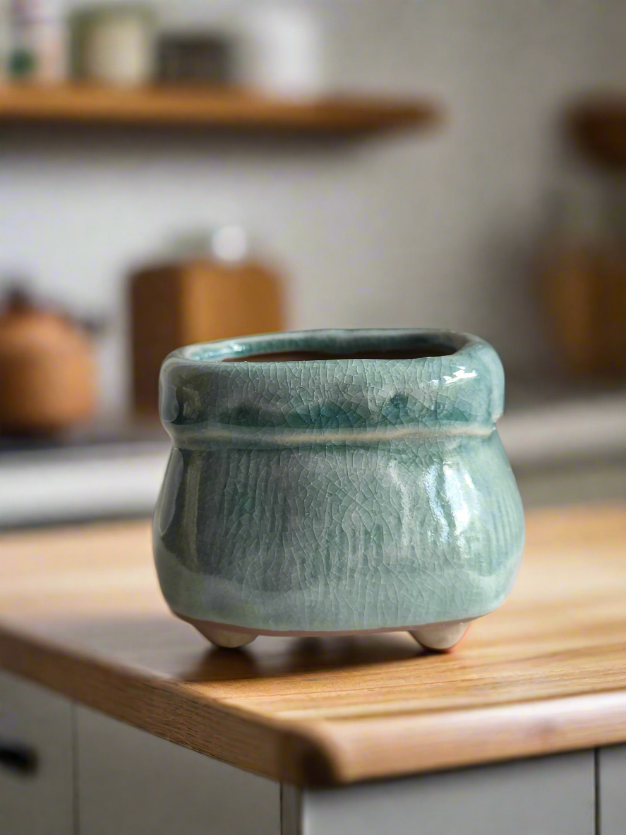 Elegant Succulent Glaze Square Pot - Gift Favors in teal