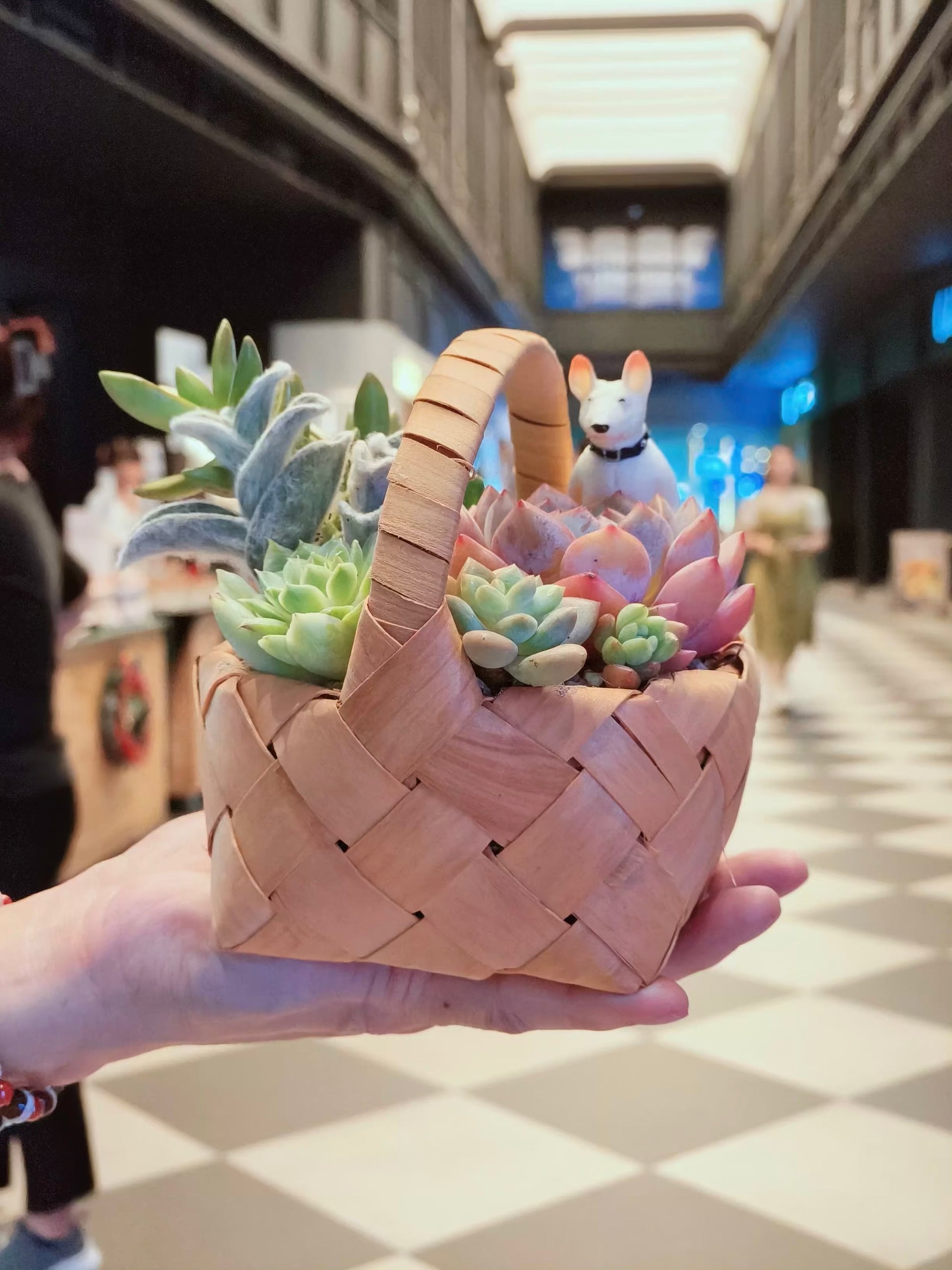 Succulent Mini Basket Bliss