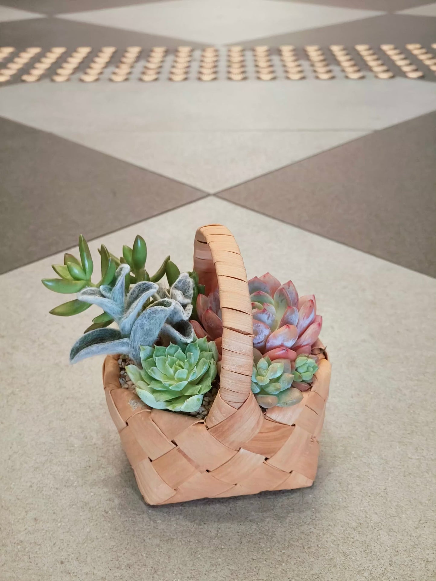 Succulent Mini Basket Bliss