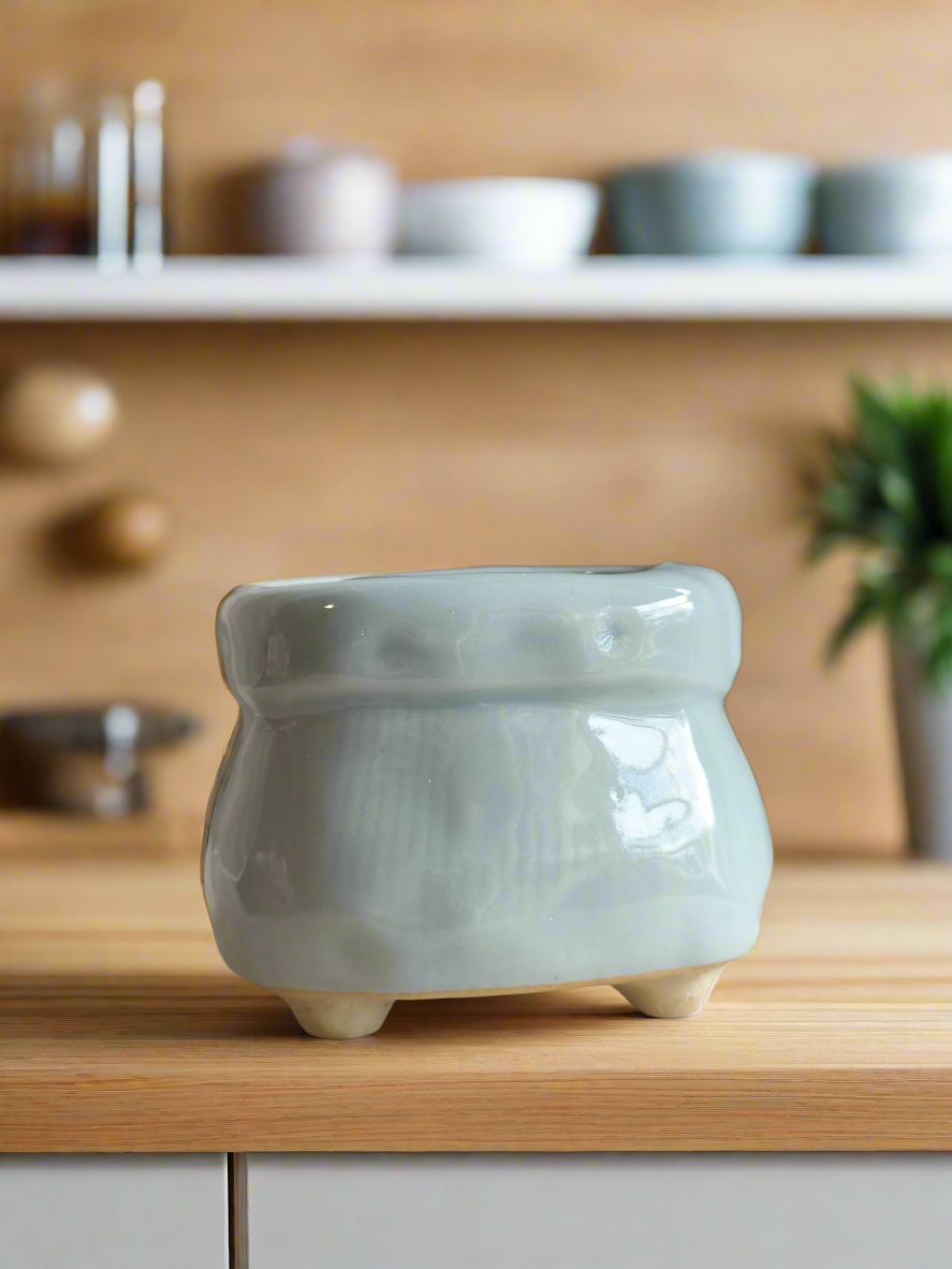 SetSucculent Glaze Square Pot - Gift Favors for small succulents of Succulent Glaze Square Pots - Gift Favors in assorted colors