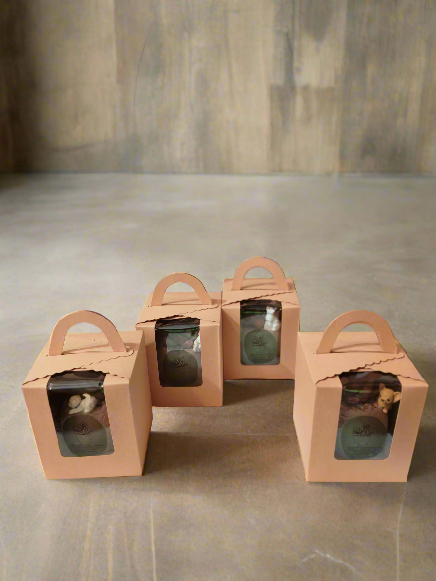 Succulent Egg Planter - Gift Favors (12 pack) - SlowBloomGreens