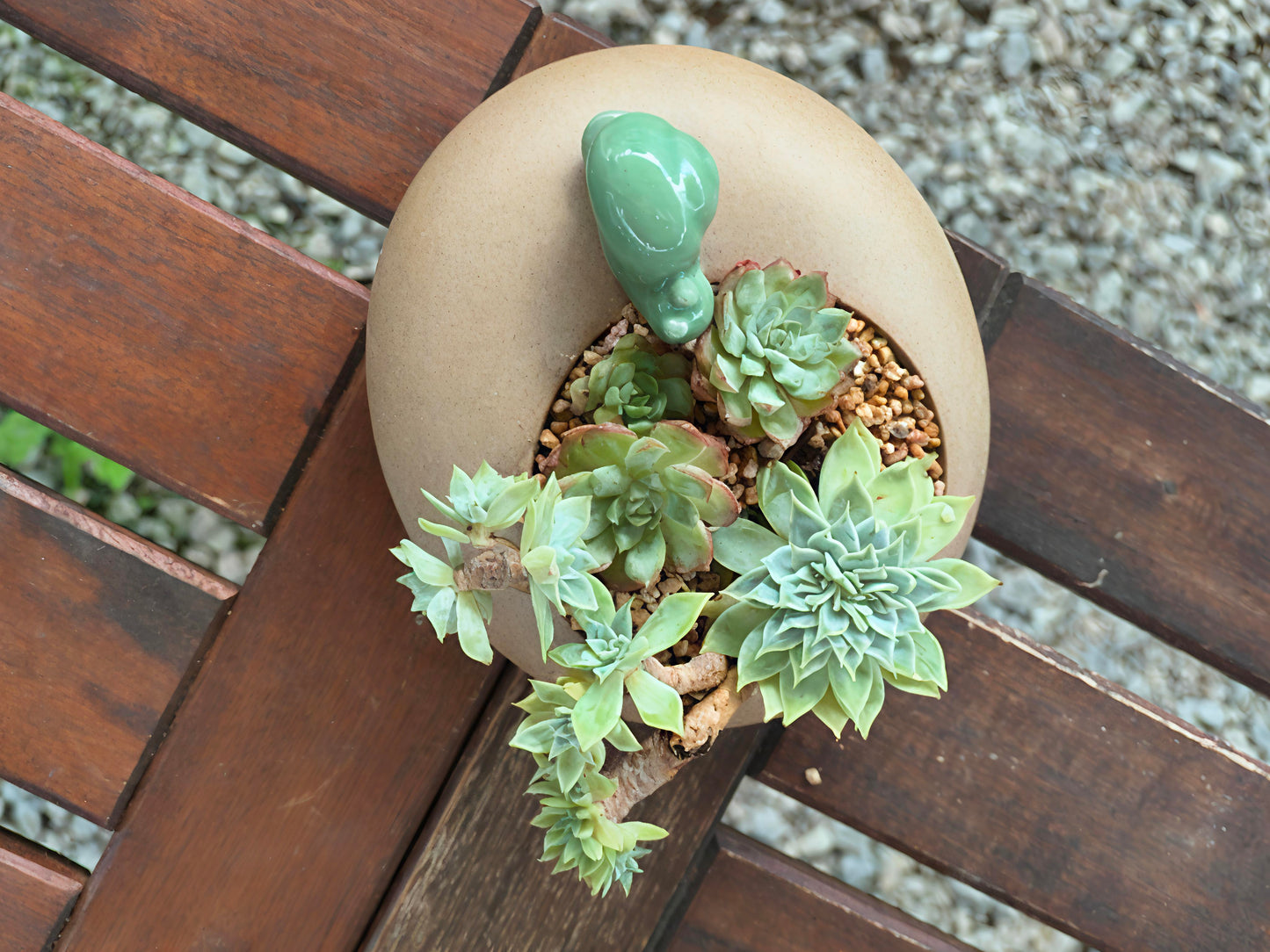 Succulent Snail Planter – Vibrant Succulents