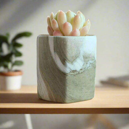 classic marble succulent planters