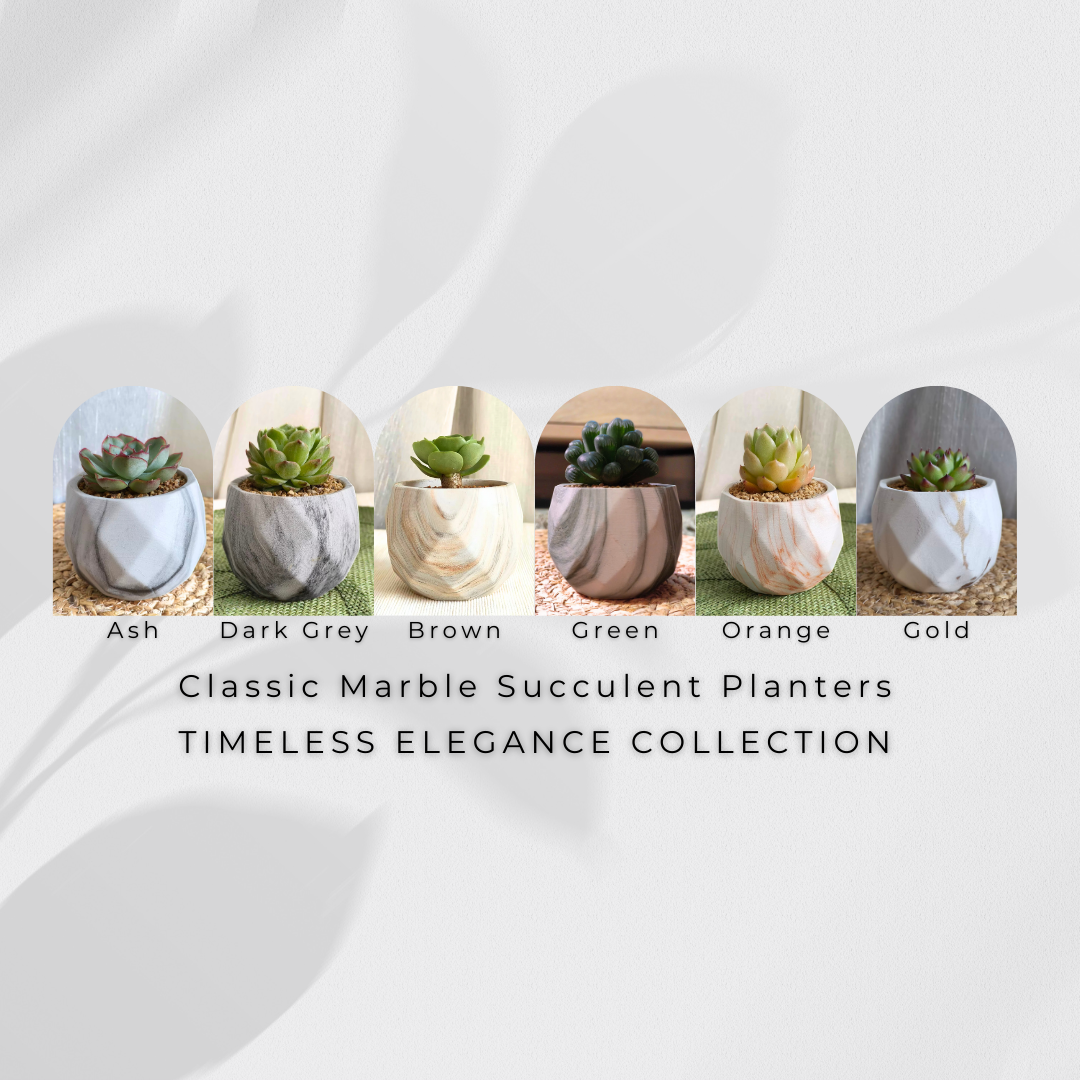 classic marble succulent planters