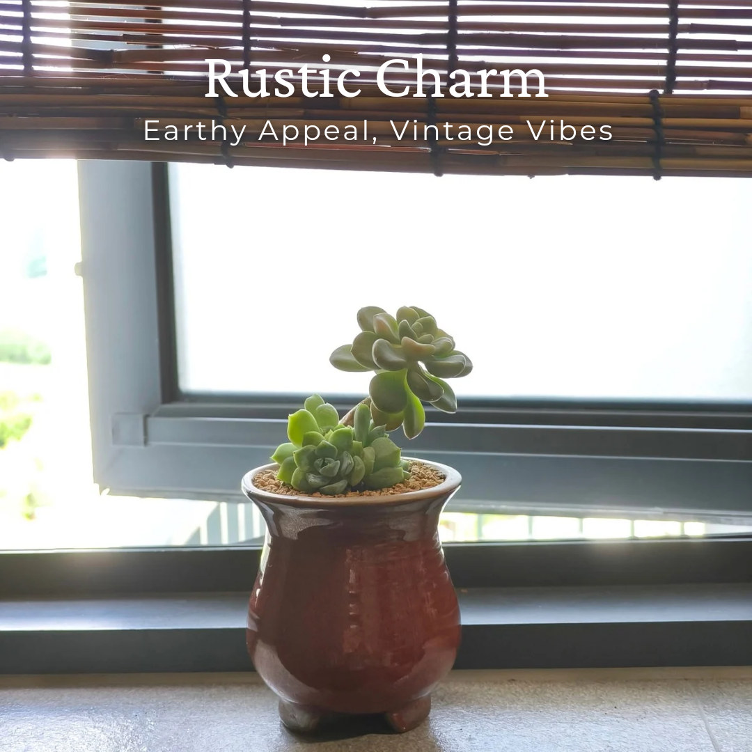 Rustic Charm - Handcrafted Succulent Planters | SlowBloomGreens